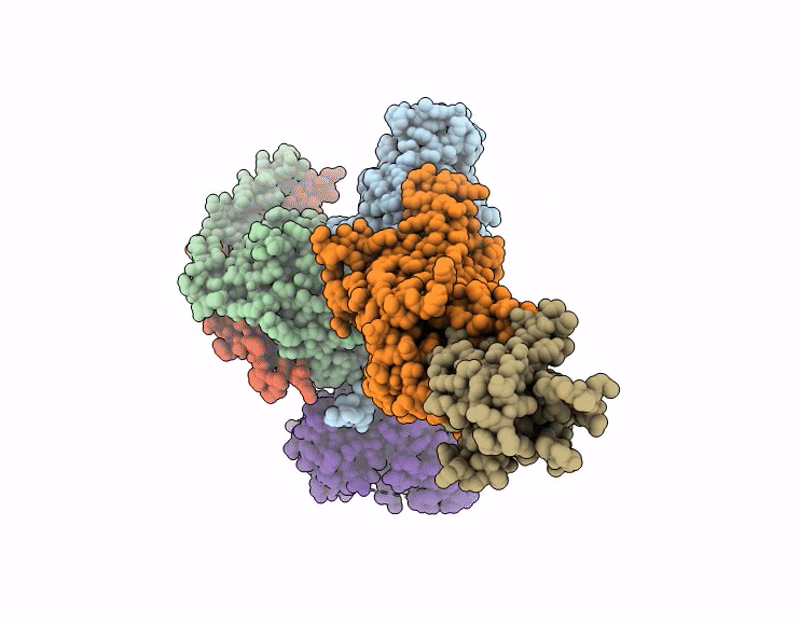 9LR1 image