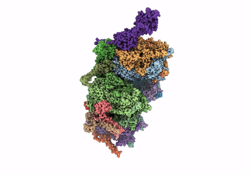 9LR9 image