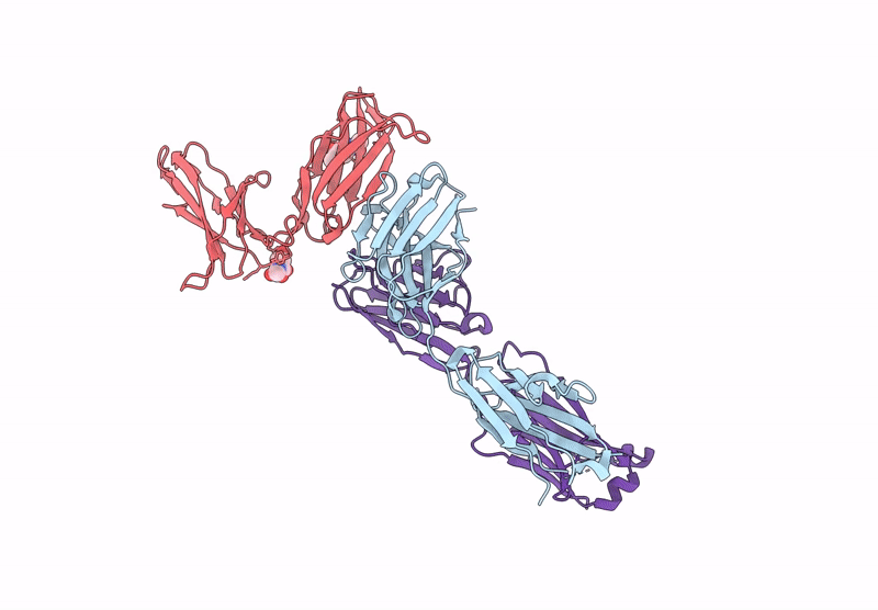 9LRF image