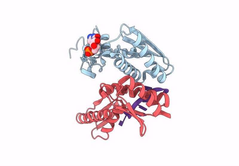 9LRI image