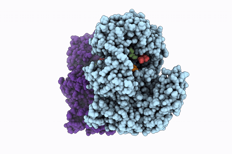 9LRM image