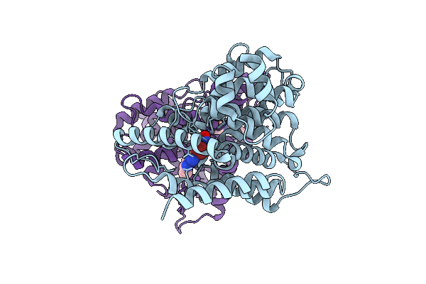 9LRP image