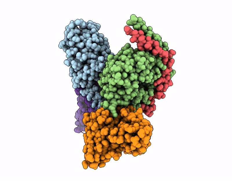 9LRS image