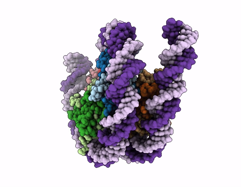 9LRW image