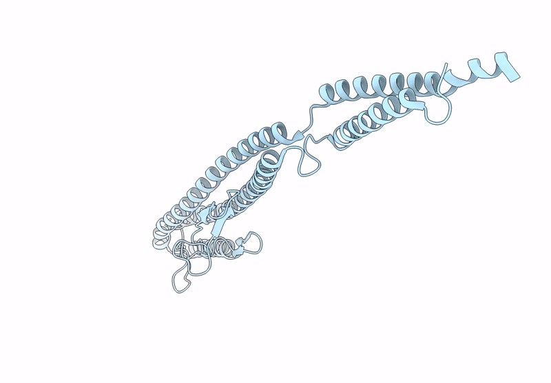 9LRZ image