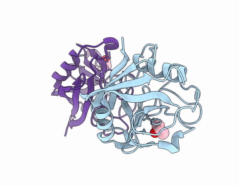 9LS5 image