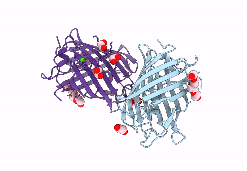 9LSA image