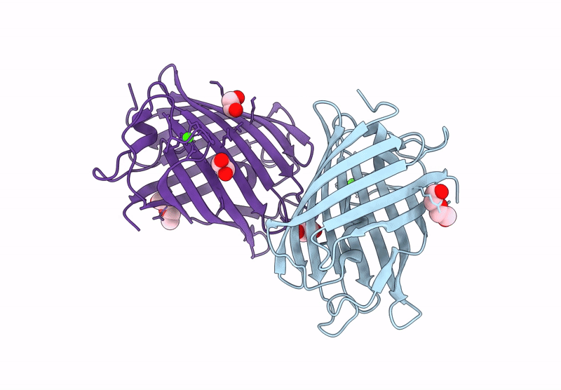 9LSF image