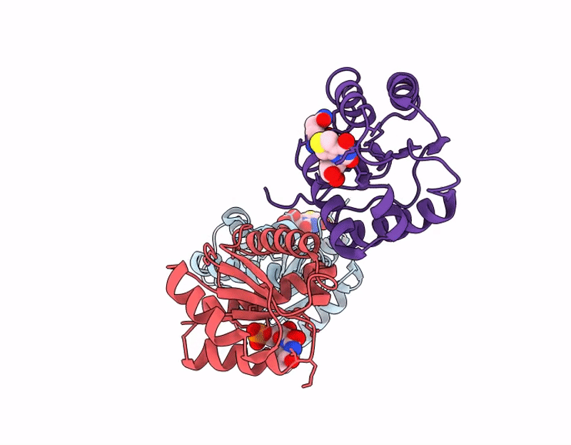 9LSO image