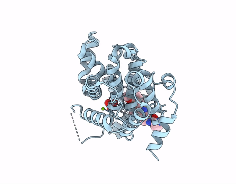 9LSS image