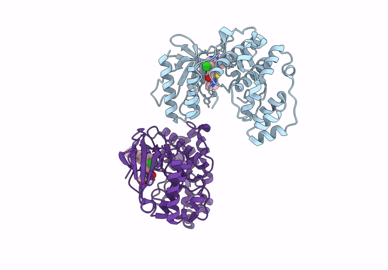 9LTA image