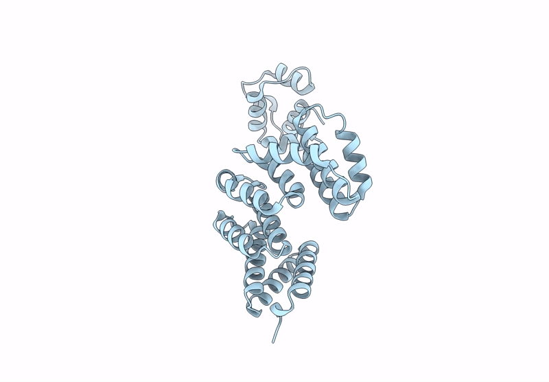 9LTH image