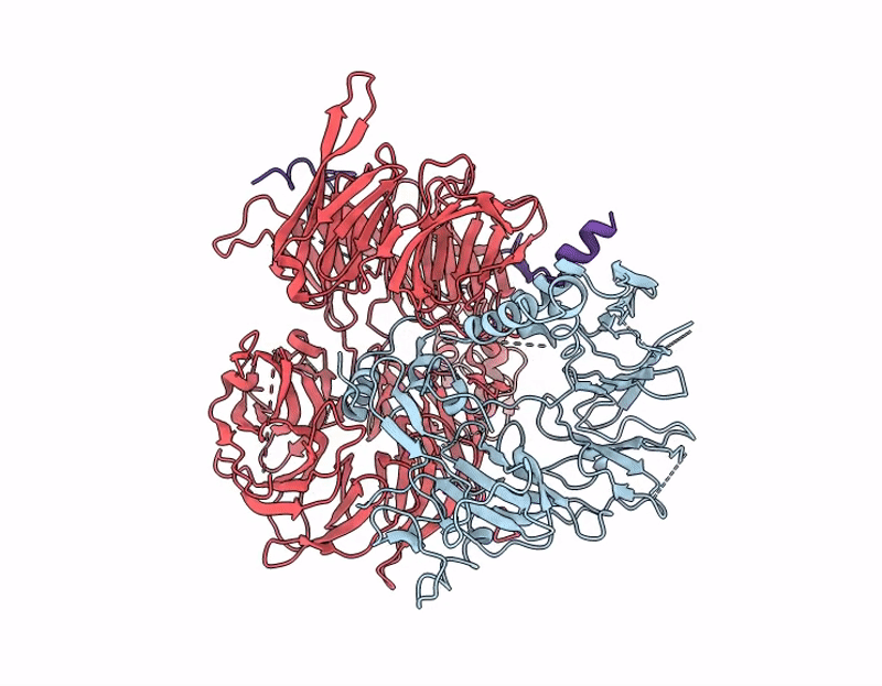 9LTJ image