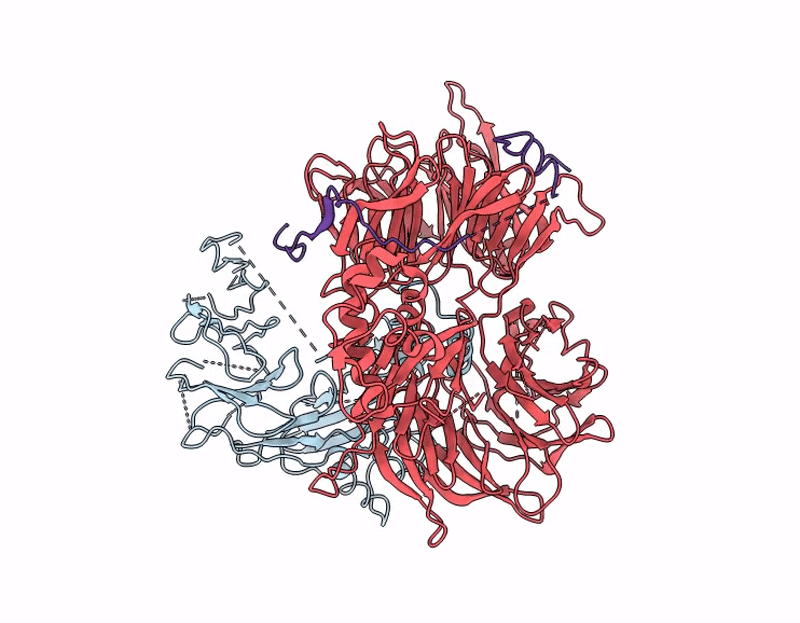 9LTL image