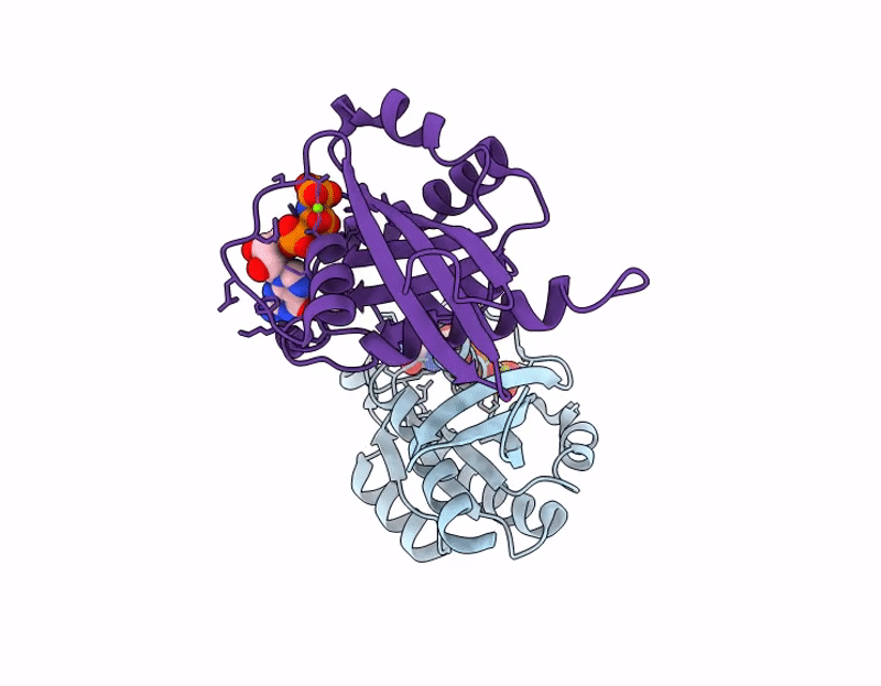 9LTQ image