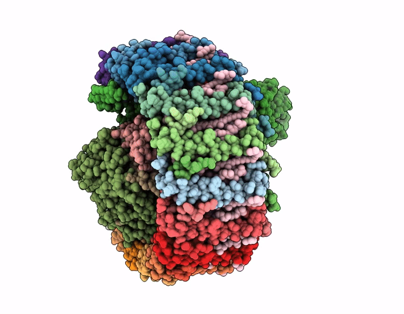 9LTV image