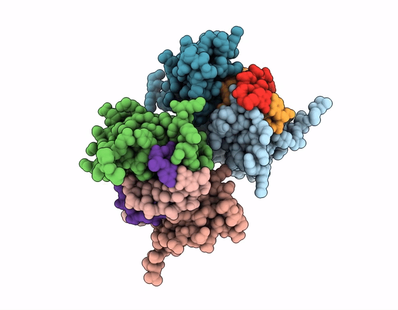 9LVP image