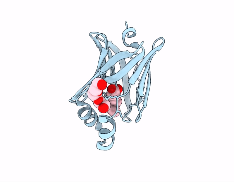 9LVQ image