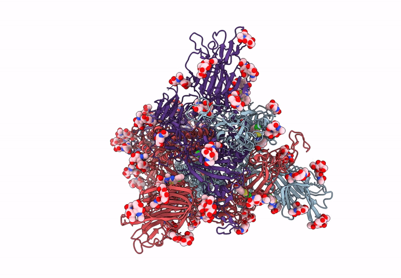 9LVS image