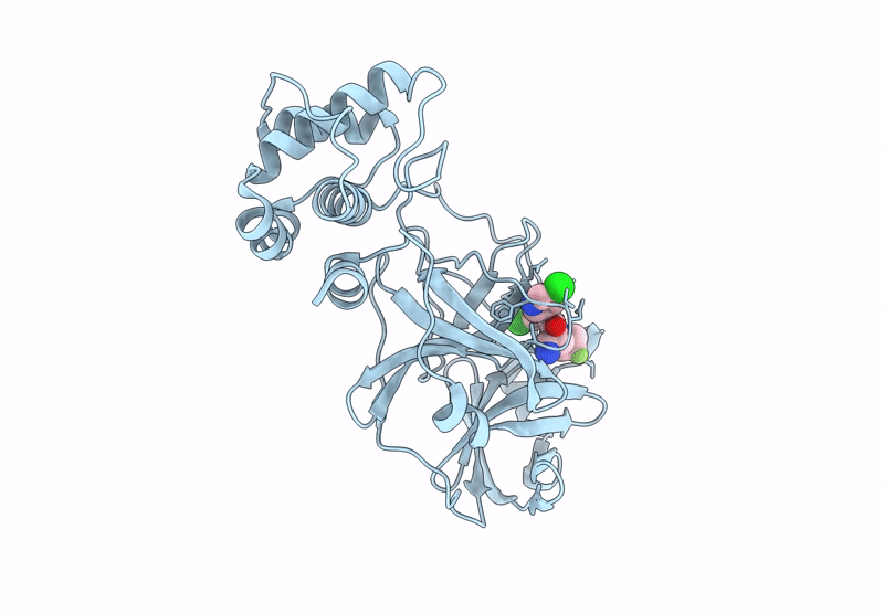 9LVV image
