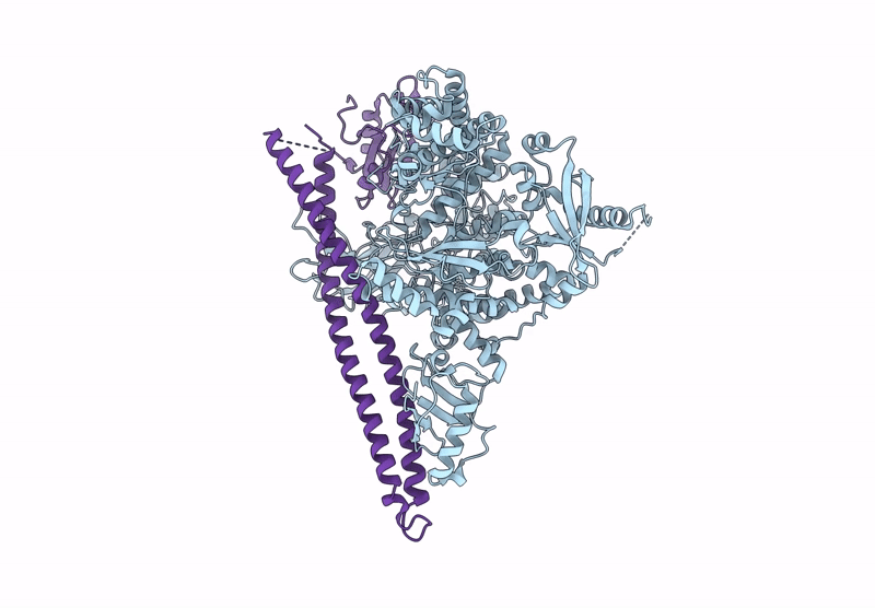 9LWS image