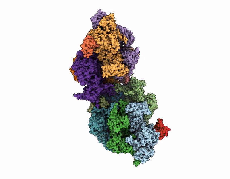 9LXF image