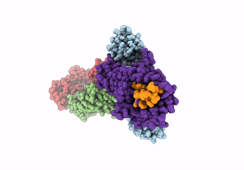 9LXP image