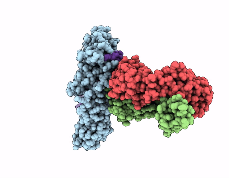 9LXR image