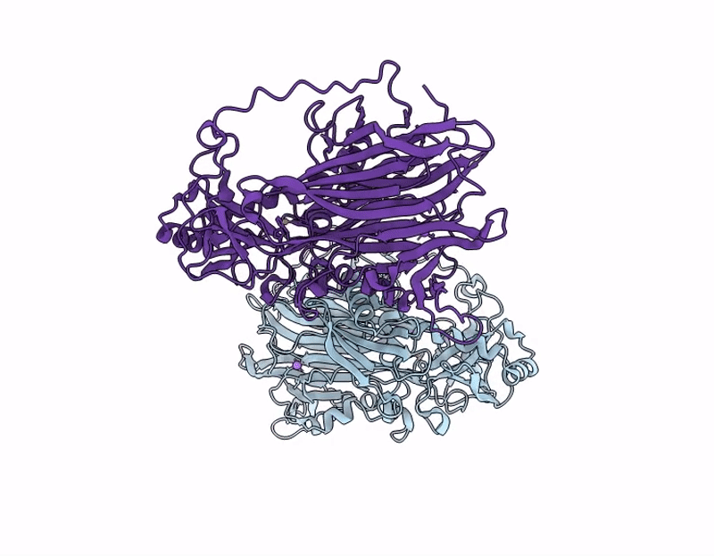 9LZC image