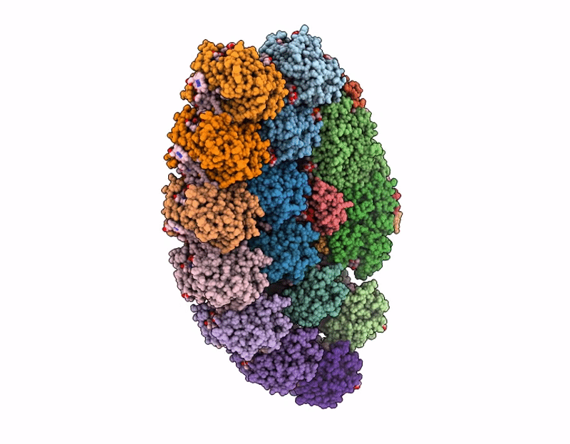 9LZK image
