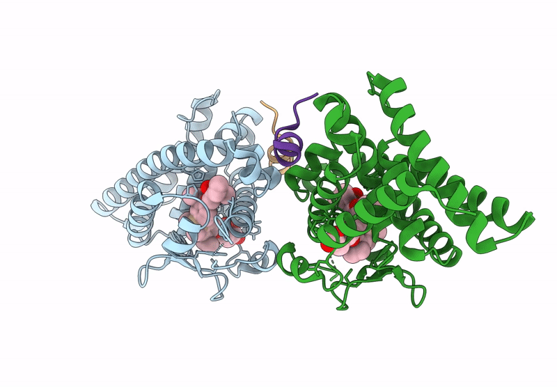 9M12 image
