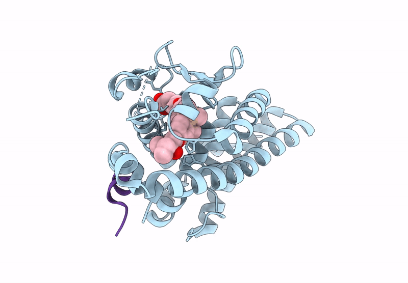 9M15 image