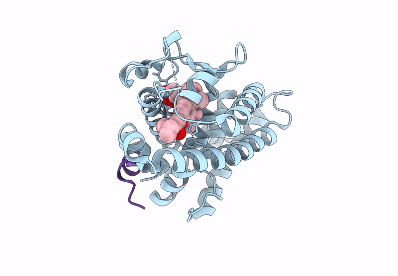 9M16 image