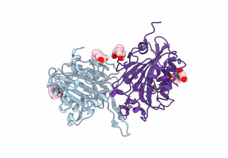 9M1E image