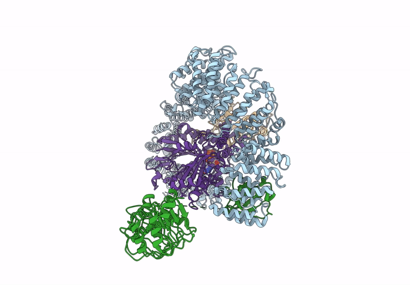 9M1J image