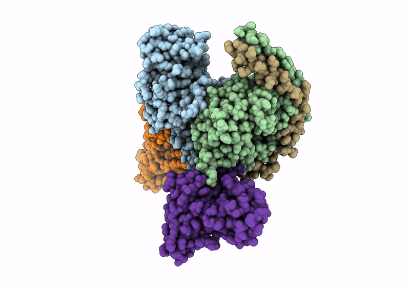 9M1O image
