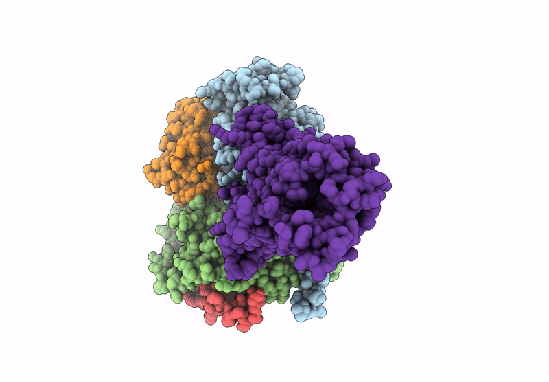 9M1P image