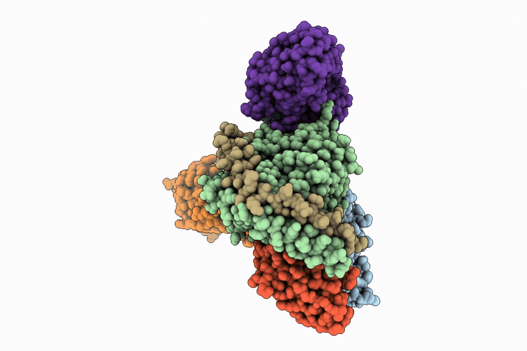 9M1R image