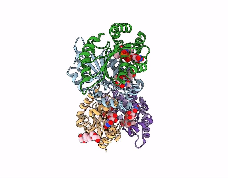 9M1V image