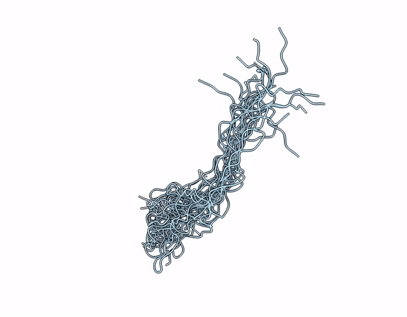 9M1Y image