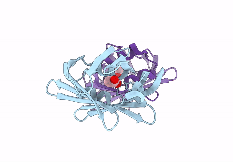 9M2B image