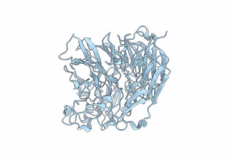 9M2C image