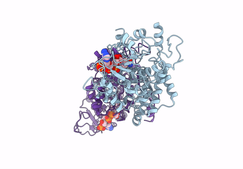9M2I image