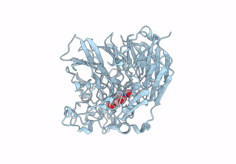 9M2J image