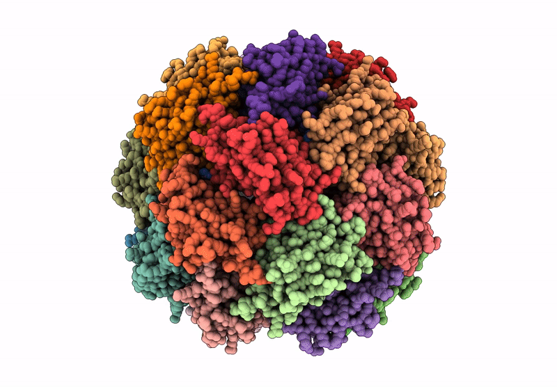 9M2Q image