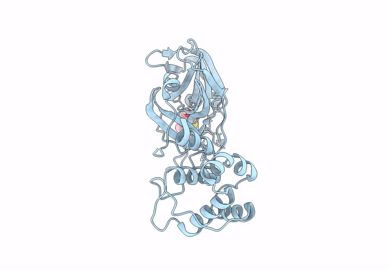 9M2V image