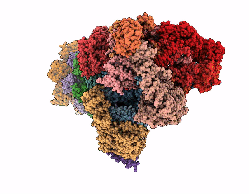 9M2W image