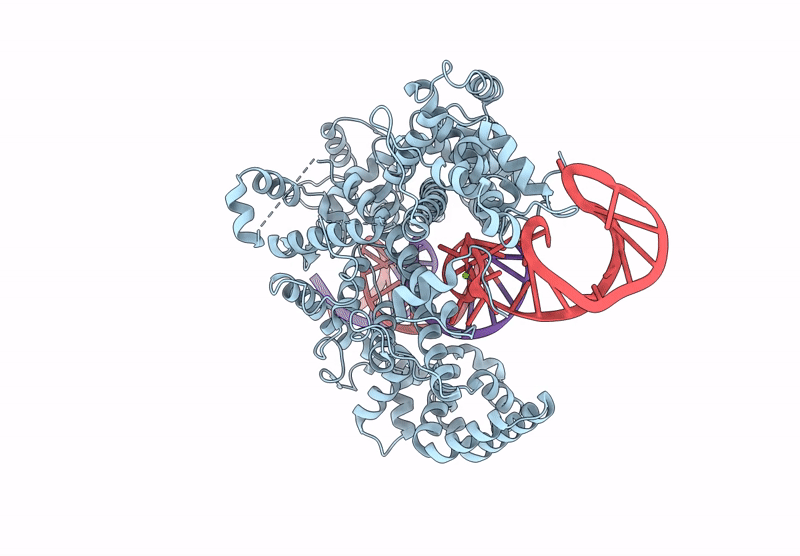 9M33 image