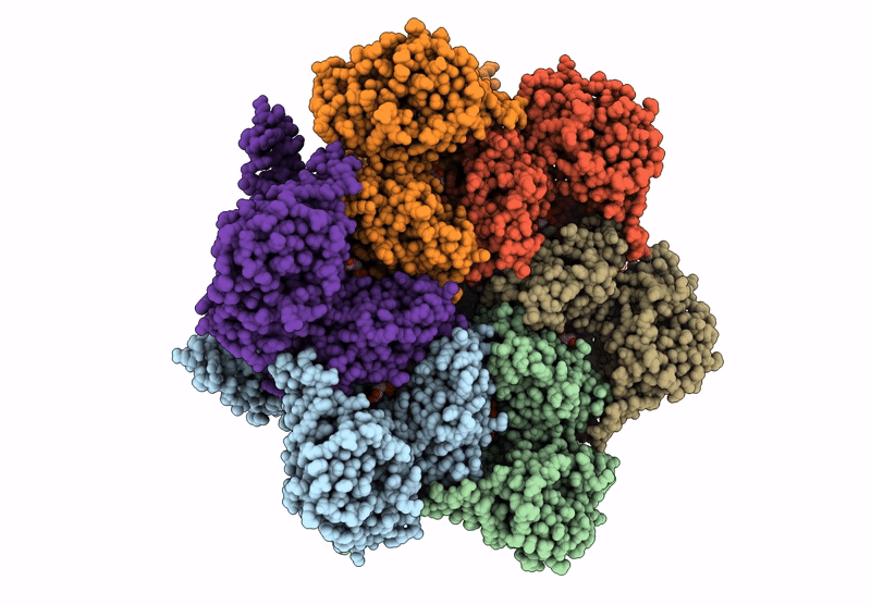 9M3Y image