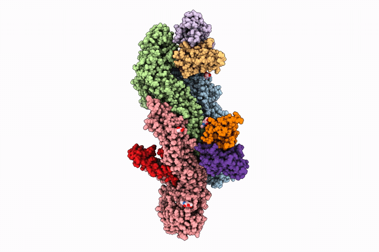 9M5H image